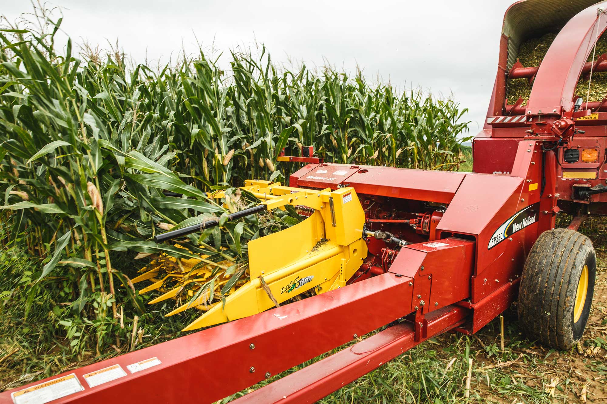 2-Row Rotary Corn Head in the Field (not Anna's farm)