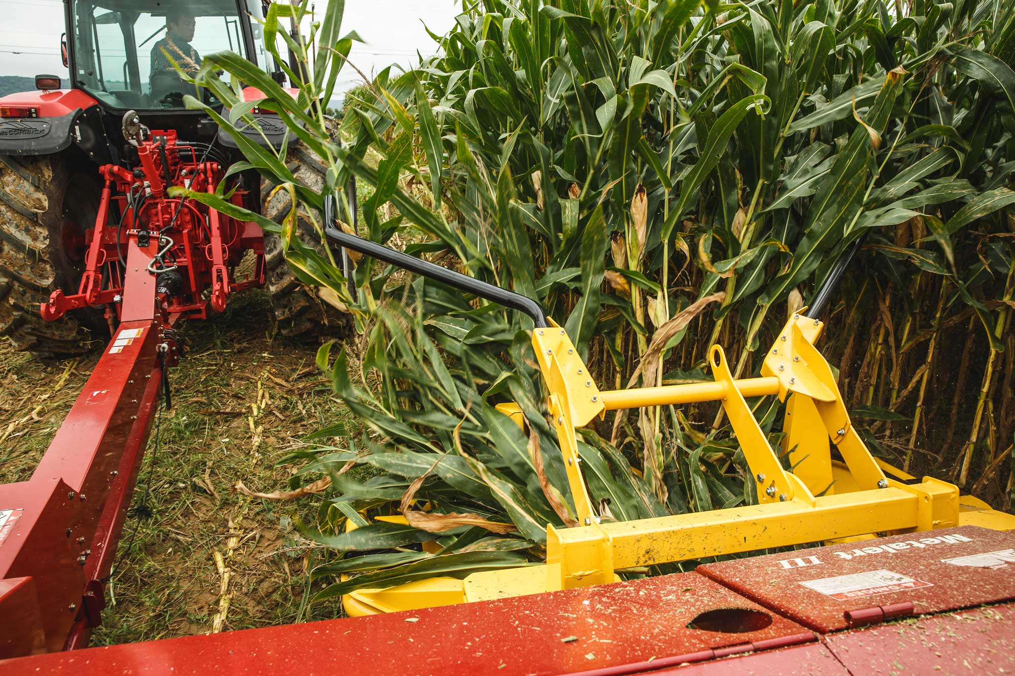 3-Row Rotary Corn Head at Harvest (not Anna's farm