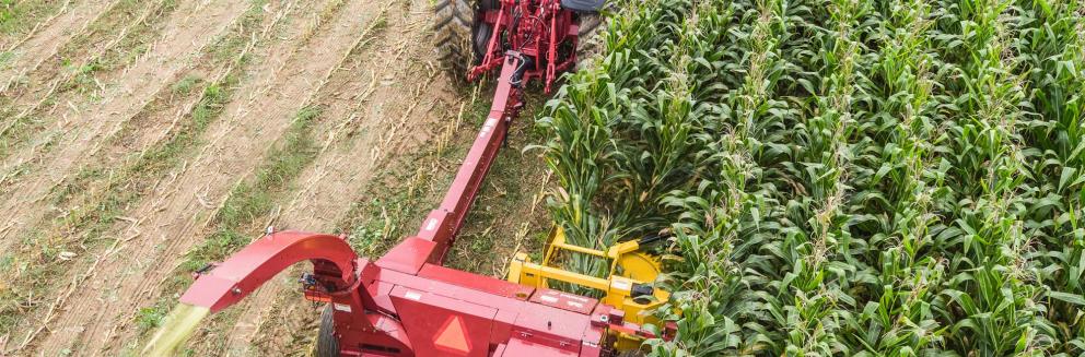 Aerial shot of Horning 2-row rotary corn head in action