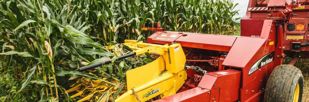 2-row rotary corn head in action Closeup shot of Horning 2-row rotary corn head in action