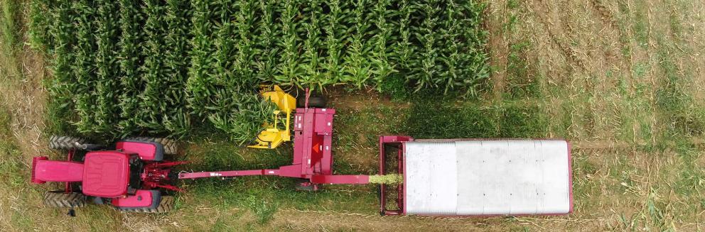 Aerial shot of Horning 3-row rotary corn head in action