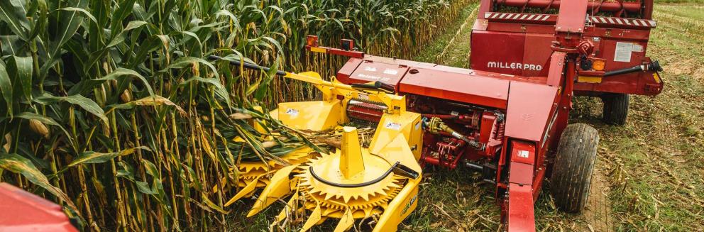 Closeup shot of Horning 3-row rotary corn head in action