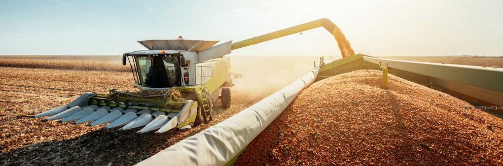 View of combine harvester from grain truck