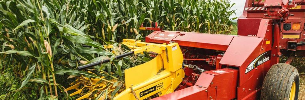 Closeup shot of Horning 2-row rotary corn head in action