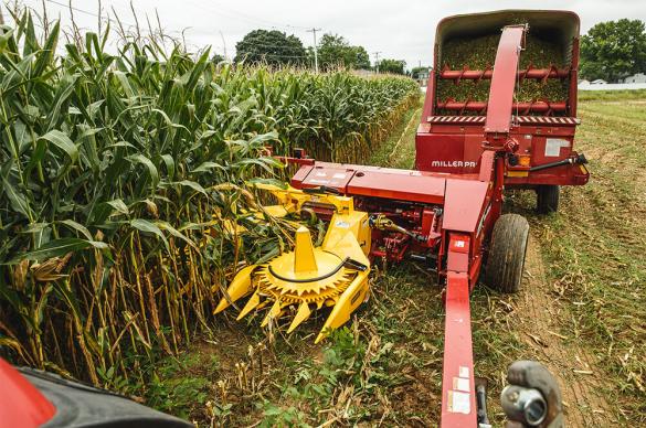 Horning 3-Row Rotary Corn Head