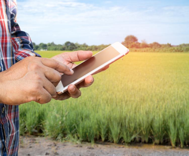 Farmer searching website FAQ's for answers.