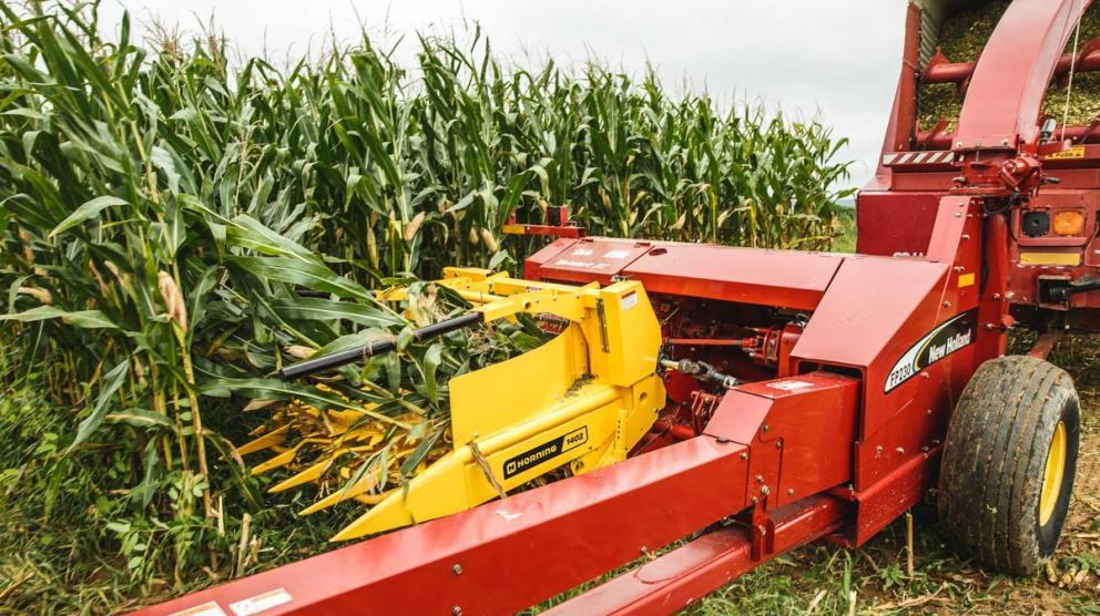 Horning corn head Horning corn head