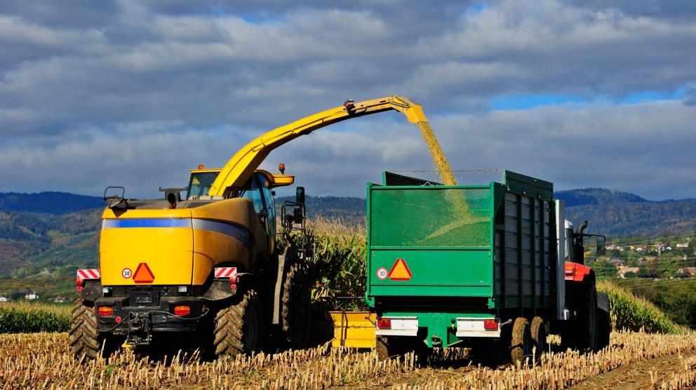 Combine Harvester at work