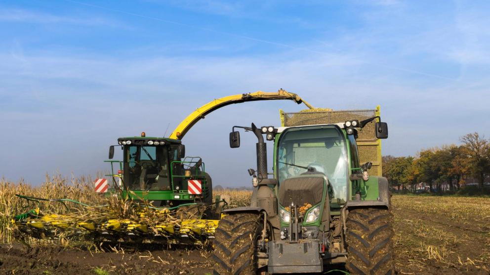 Horning kernel processor on a Claas