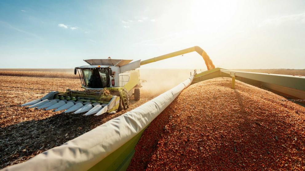 View of combine harvester from grain truck