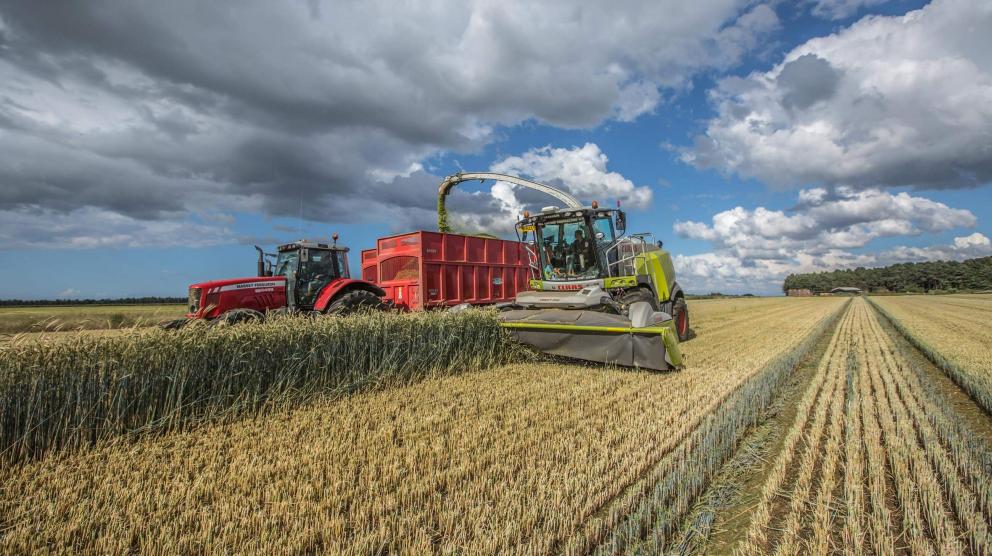 Moissonneuse-batteuse et tracteur dans un champ